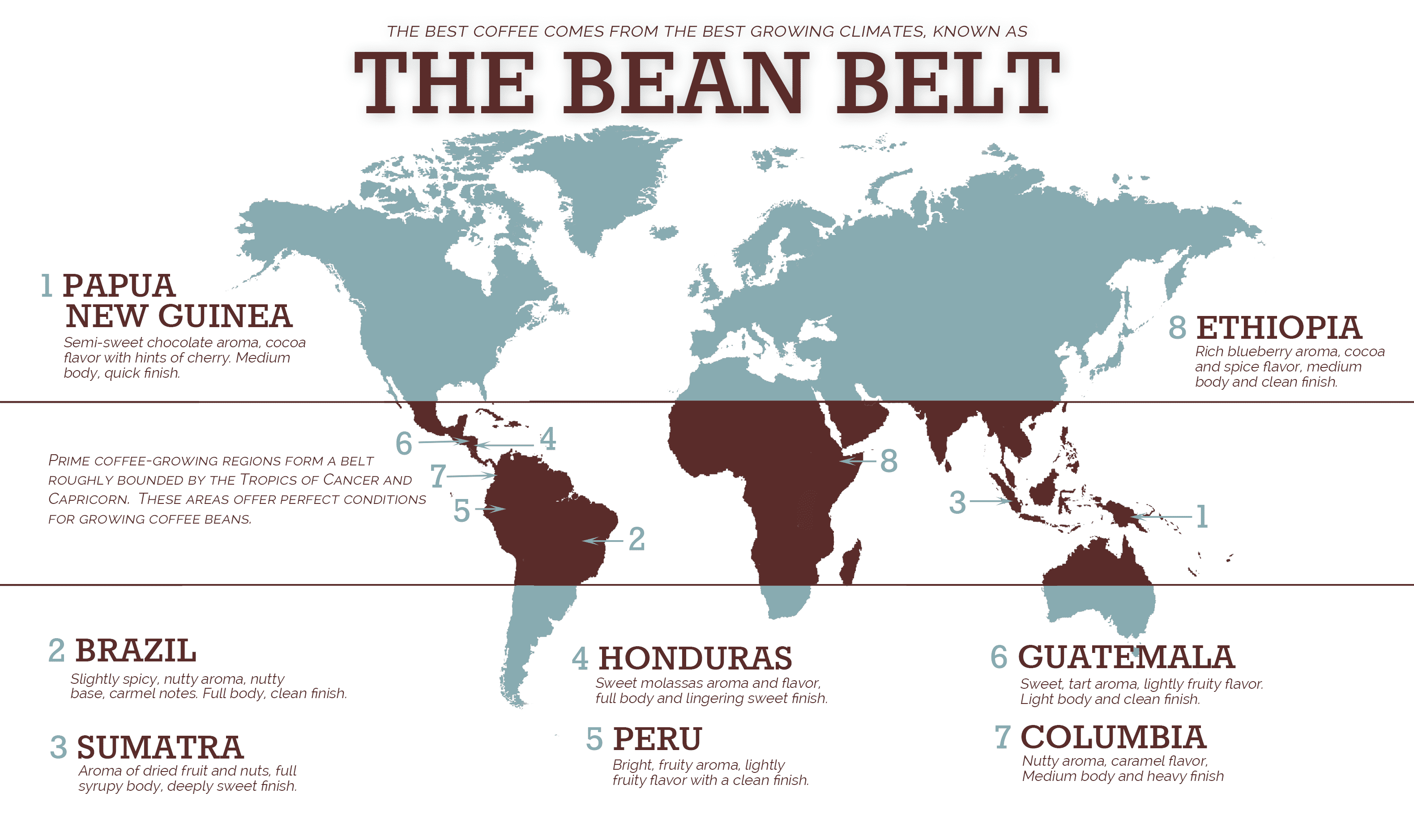 Bean Belt