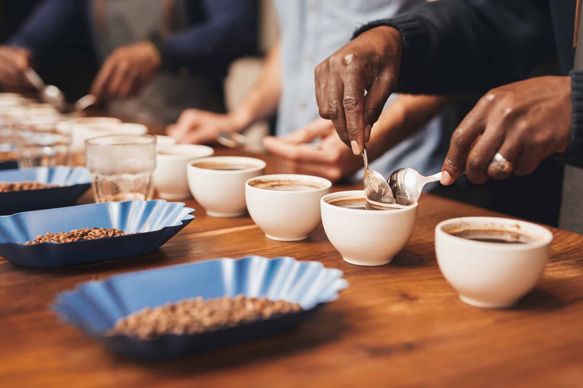 Baristas cupping coffee